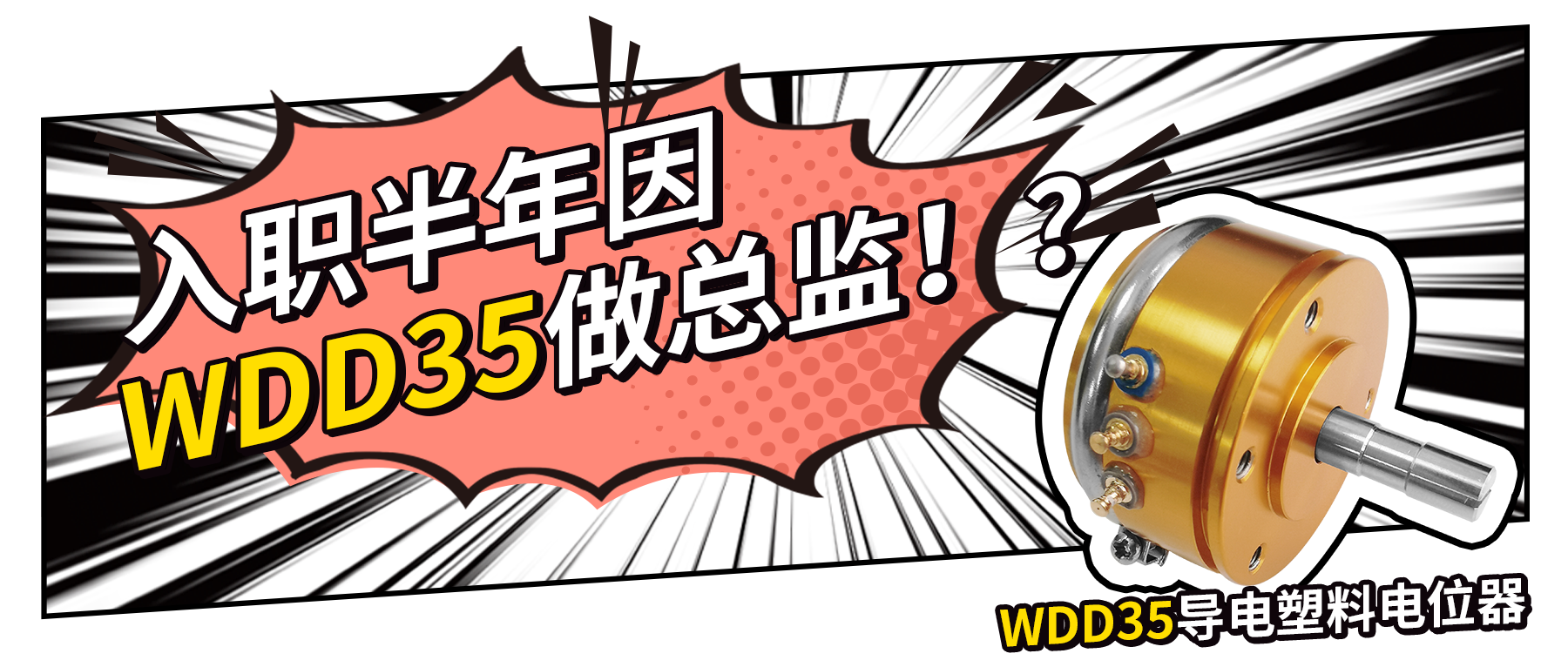 入職半年因WDD35做總監(jiān)？！